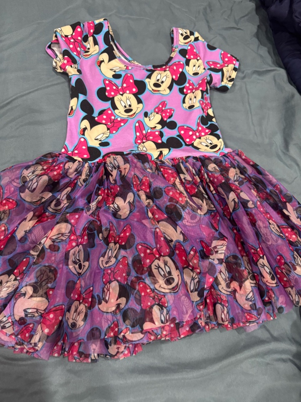 Wild rich kids / Minnie Mouse Purple Tulle Skater Dress